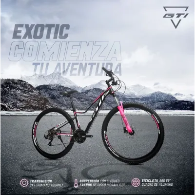 BICICLETA EXOTIC