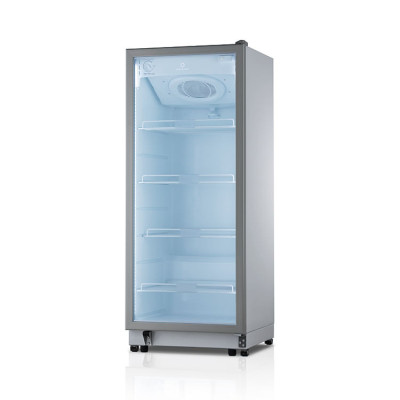 VITRINA REFRIGERADA VFV-400 SZ INDURAMA 290 LITROS