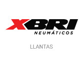 XBRI